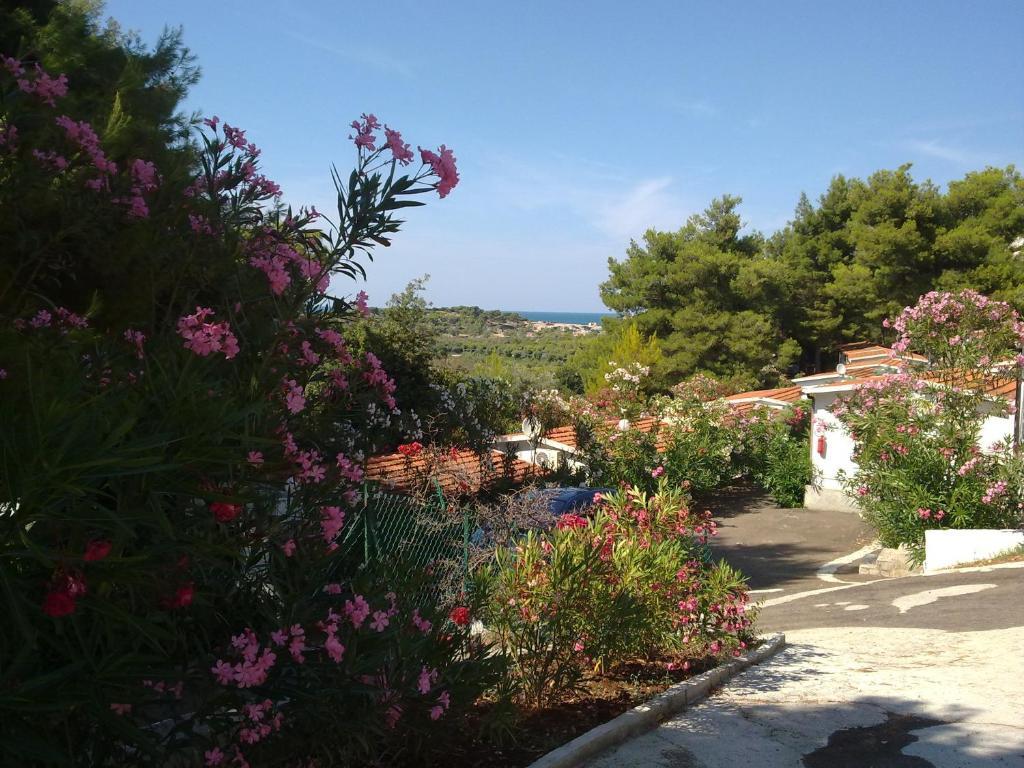 Villaggio Club Baia Di Paradiso Vieste Exterior foto