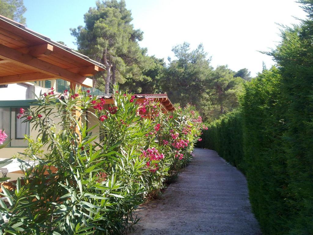 Villaggio Club Baia Di Paradiso Vieste Exterior foto